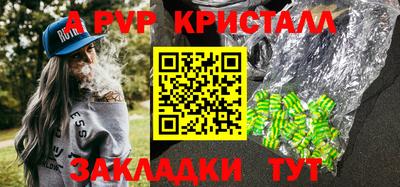 прущие крисы Тара