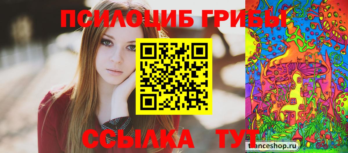 Галлюциногенные грибы Psilocybe Саранск