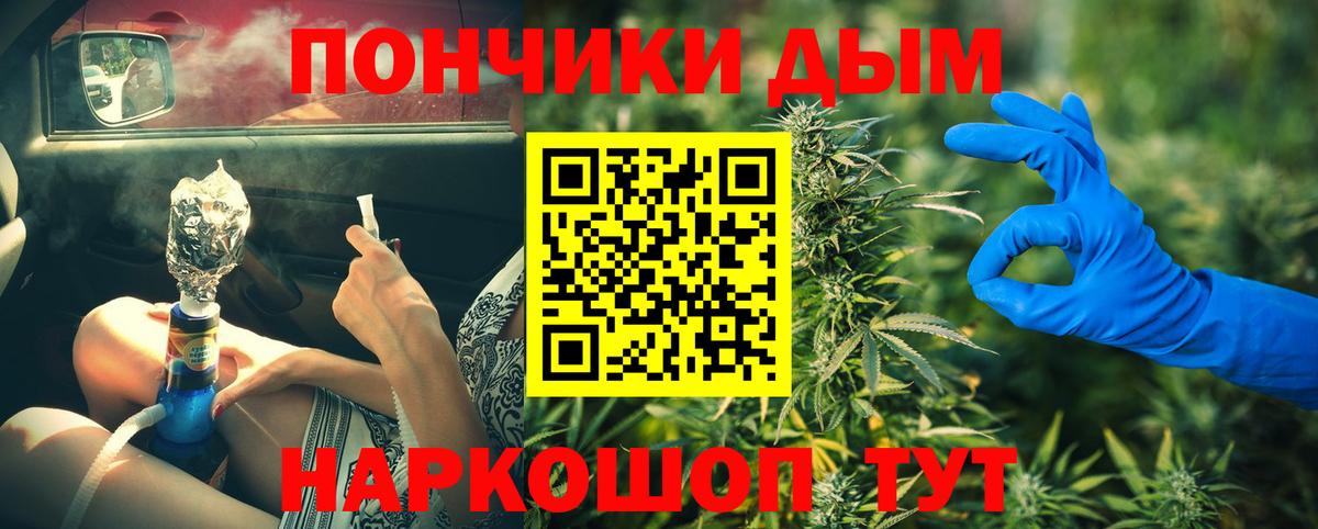 Канабис план Саранск